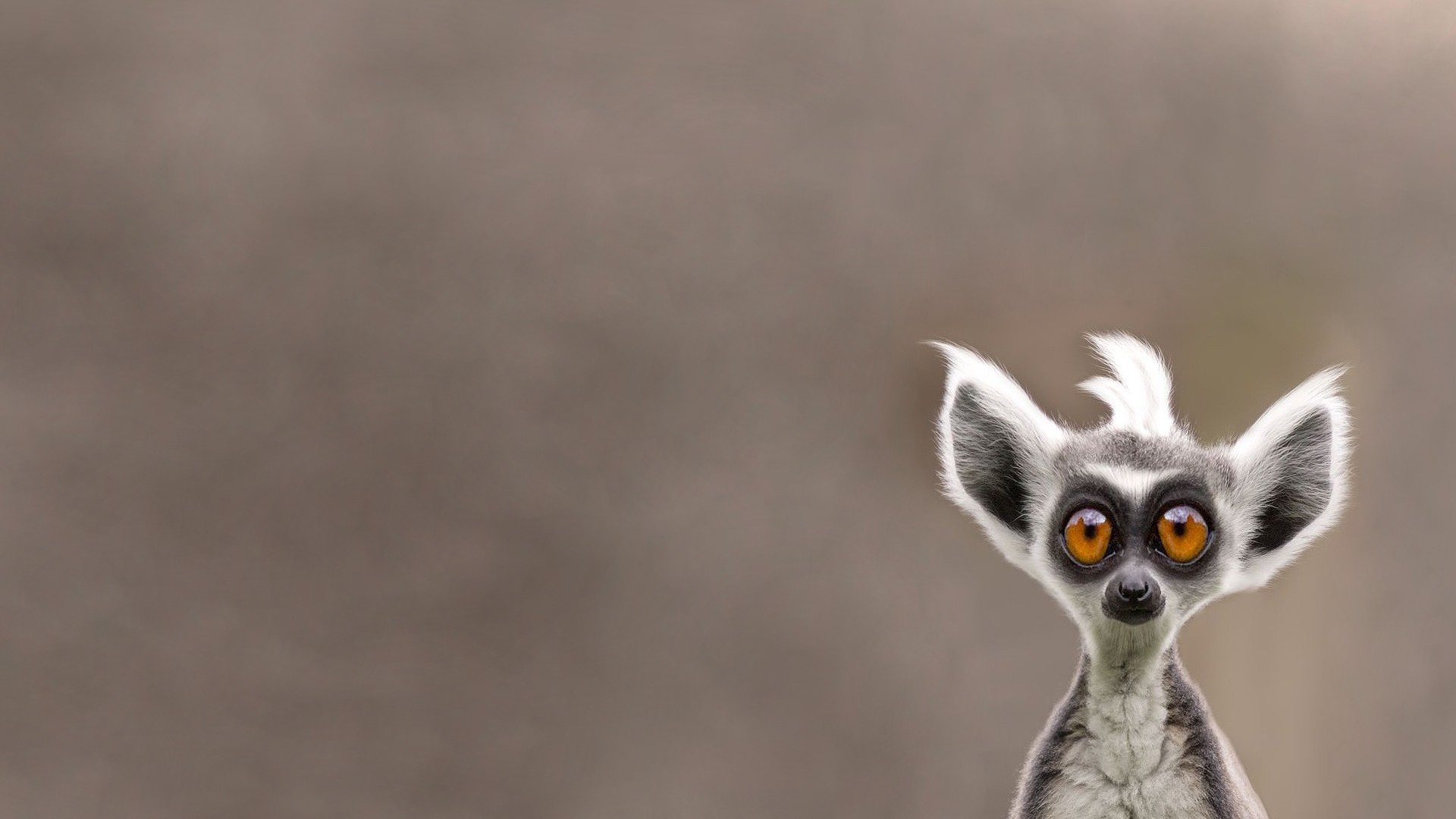 
Галерея аватаров: Hell girlРазмеры изображения: 1920 на 1080 пикселей
Размер файла: 165.53кБ (169505 байт)
